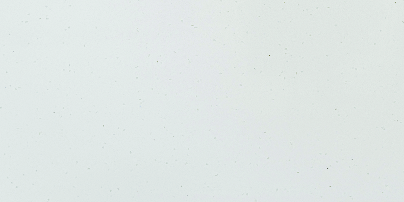 Winter Ice Paradigm quartz slab in Jaipur